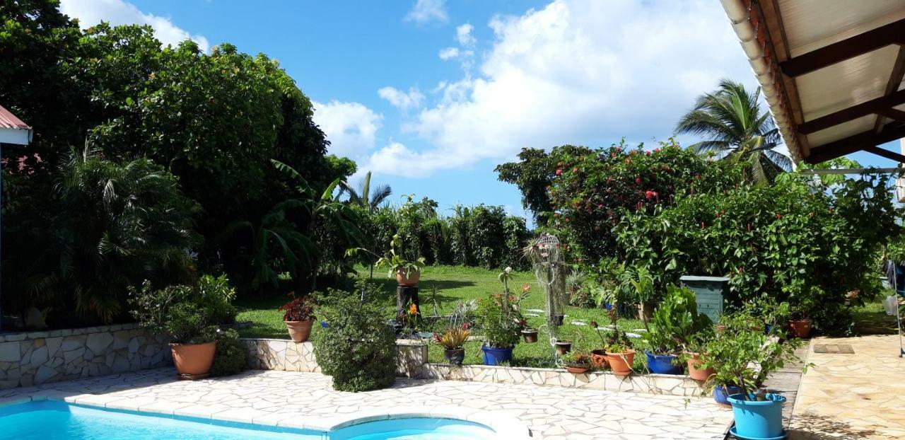 Ti Cajou Apartment Baie-Mahault Luaran gambar